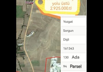 Sorgun DİŞLİ KÖYÜ  YOLU 3 DÖNÜM TARLA