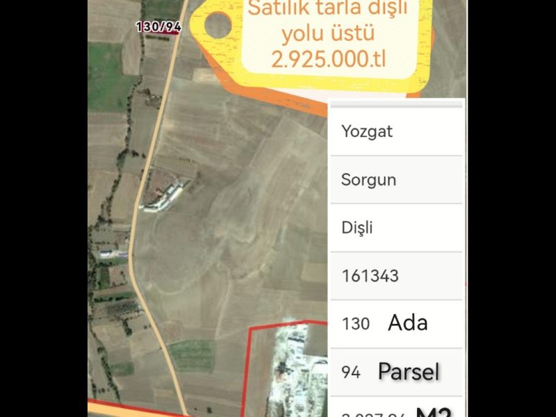 Sorgun DİŞLİ KÖYÜ  YOLU 3 DÖNÜM TARLA