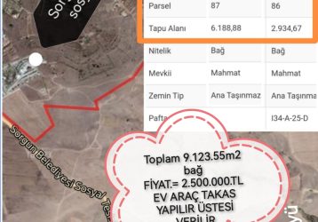 Sorgun sosyal tesislerine 1 km 9 dönüm bağ takaslı